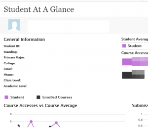 Student at glance report